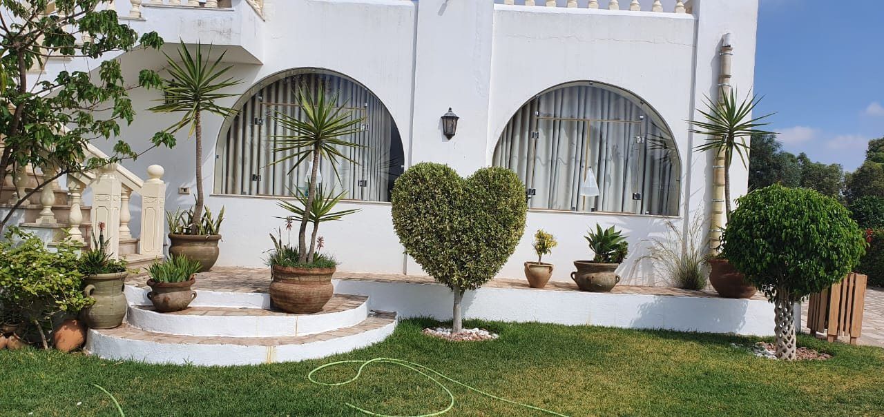 Suite Pomelo — photo 2